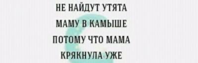 Прикрепленное изображение: 20210401_1952052483558325528848859.jpg